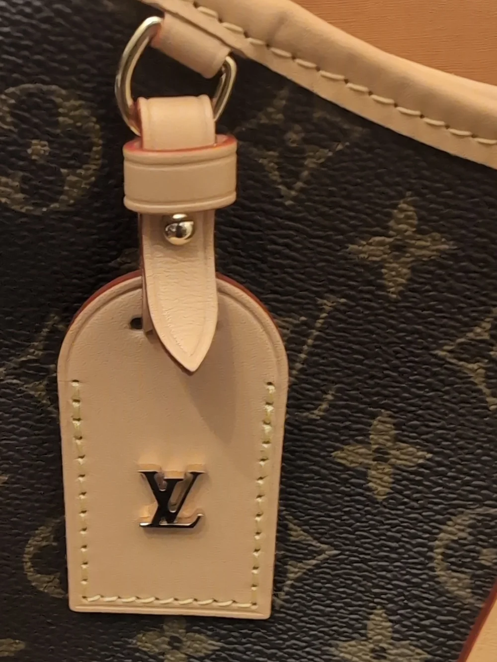 LV Carry All